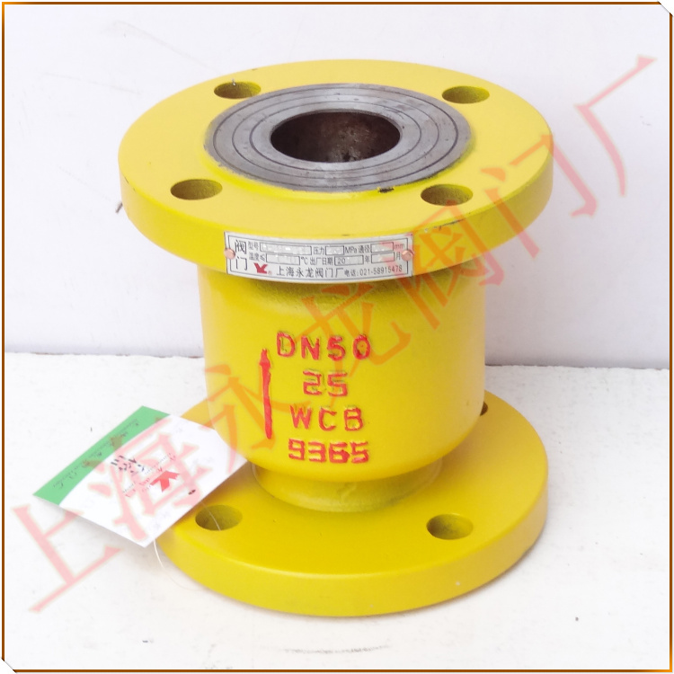 立式氨氣止回閥圖片