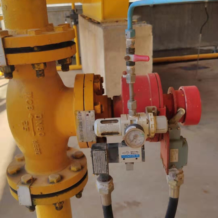 永龍液氨切斷閥在新疆阜豐生物科技有限公司氨站應用案例