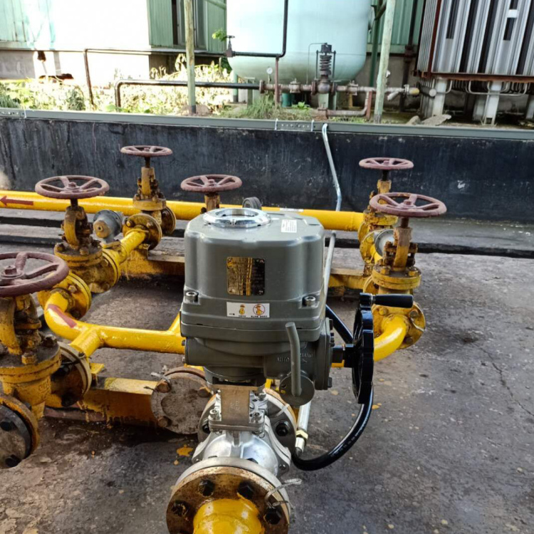 液氨電動緊急切斷閥蘇州工業(yè)園區(qū)應(yīng)用案例-永龍閥門