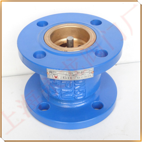 立式止回閥圖片-上海永龍閥門廠 立式止回閥圖片-上海永龍閥門廠